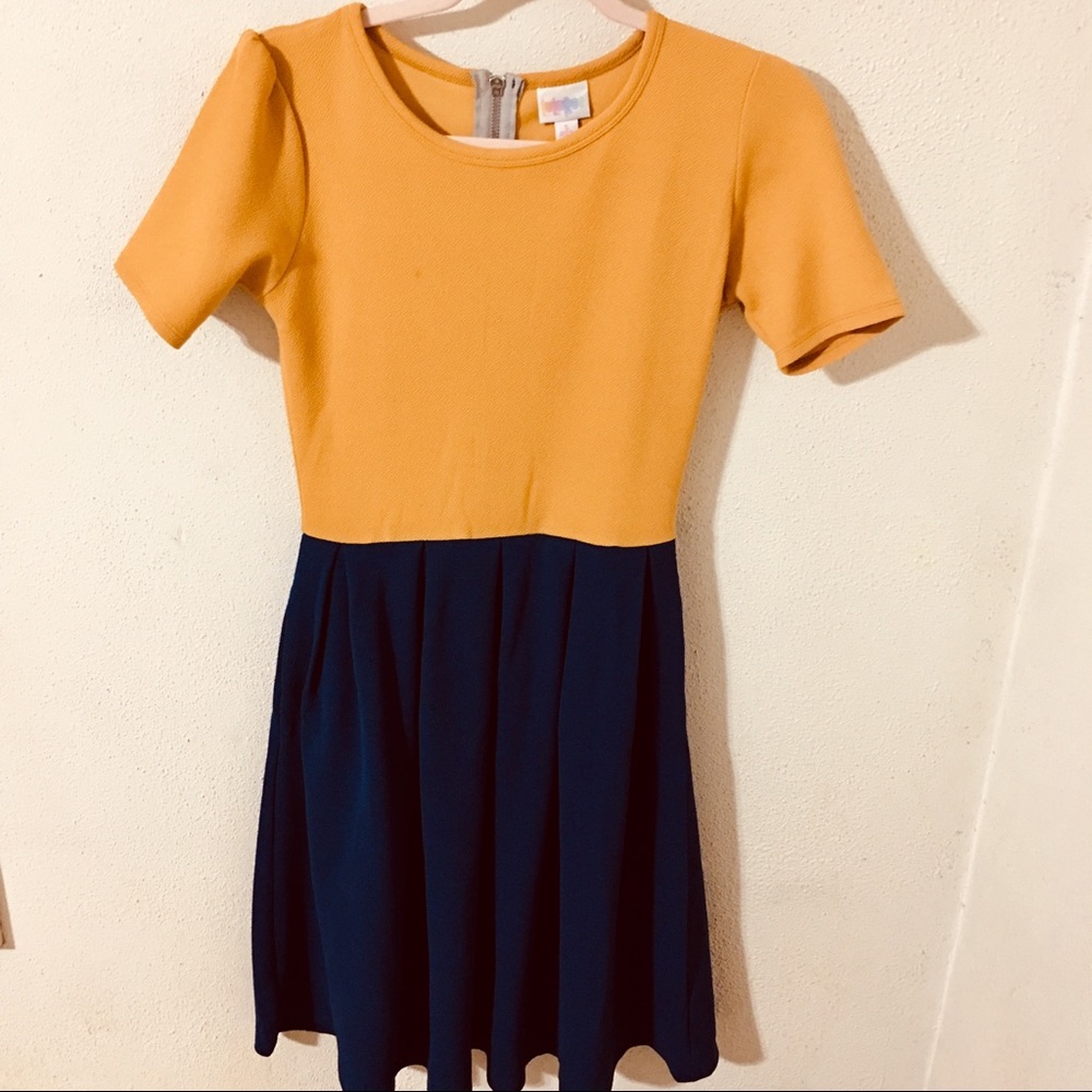 LuLaRoe Amelia Fit N Flare Dress Size Small